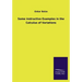 Some Instructive Examples in the Calculus of Variations