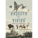 Objects of Vision: Making Sense of What We See