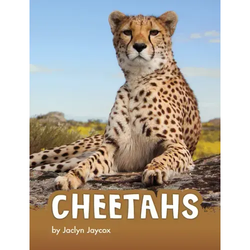 Cheetahs
