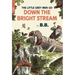 The Little Grey Men Go Down the Bright Stream
