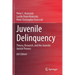 Juvenile Delinquency: Theory, Research, and the Juvenile Justice Process