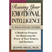 Raising Your Emotional Intelligence: A Practical Guide
