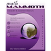 Math Mammoth Grade 4 Answer Keys