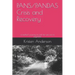 Pans/Pandas Crisis and Recovery: A Mother's Journey to Pull Her Son Out of Psychosis