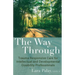 The Way Through: Trauma Responsive Care for Intellectual and Developmental Disability Professionals