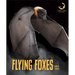Flying Foxes
