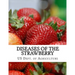 Diseases of the Strawberry: A Guide For The Strawberry Grower