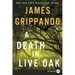 A Death in Live Oak: A Jack Swyteck Novel