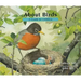 About Birds: A Guide for Children