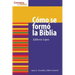 Cómo Se Formó La Biblia: How the Bible Was Formed