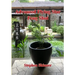 Advanced Flying Star Feng Shui