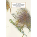 The Interfact: On Structure and Compatibility in Object-Oriented Ontology
