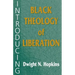 Introducing Black Theology of Liberation