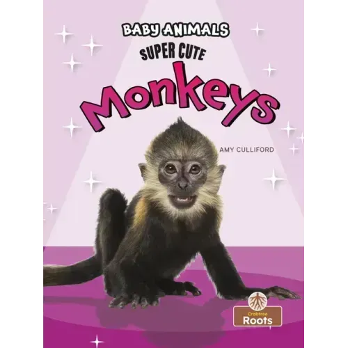 Super Cute Monkeys