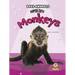 Super Cute Monkeys