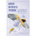How Birds Work: An Illustrated Guide to the Wonders of Form and Function - From Bones to Beak