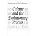 Culture and the Evolutionary Process