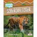 Siberian Tiger