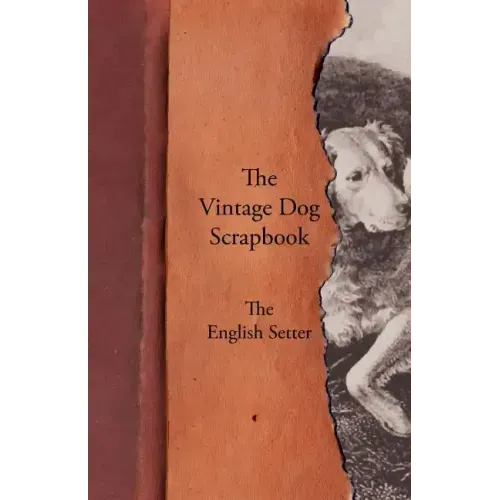 The Vintage Dog Scrapbook - The English Setter