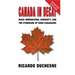 Canada In Decay: Mass Immigration, Diversity, and the Ethnocide of Euro-Canadians