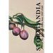 Storylandia 42