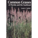 Common Grasses of Florida & The Southeast