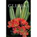 Clivias