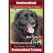 Newfoundland Training Book for Dogs & Puppies By BoneUP DOG Training: Are You Ready to Bone Up? Easy Steps * Fast Results Newfoundland Training