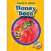 Honey Bees