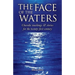 The Face of the Waters: Chasidic teachings & stories for the twenty-first century