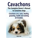 Cavachons. The Complete Owners Manual to Cavachon dogs: Cavachons care, costs, feeding, grooming, health and training all included.