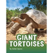 Giant Tortoises