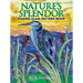 Nature's Splendor Stained Glass Pattern Book