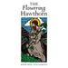 The Flowering Hawthorn