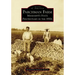 Parchman Farm: Mississippi's State Penitentiary in the 1930s