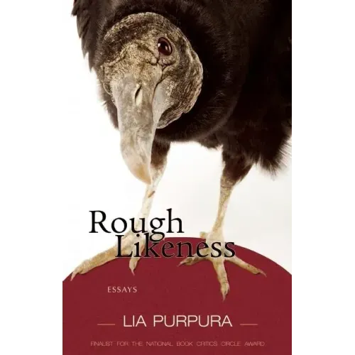 Rough Likeness: Essays