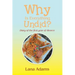 Why Is Everything Undid?: Diary of the First Year of Divorce
