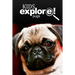 Pugs - Kids Explore: Animal books nonfiction - books ages 5-6