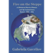 Fire on the Steppe: A Historical Novel of Russia and the United States Book 1: 1904 - 1916