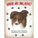 Where Are You, Alfie?