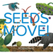Seeds Move!