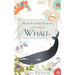 When You Find Yourself in the Belly of a Whale