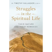 Struggles in the Spiritual Life: Their Nature and Their Remedies