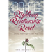 Righteous Relationship Reset: Doing Marriage God's Way