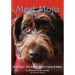 Meet Mojo