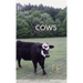 The Cows