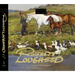 Follow the Sun: Robert Lougheed