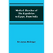 Medical Sketches of the Expedition to Egypt, from India