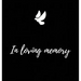 Memorial Guest Book (Hardback cover): Memory book, comments book, condolence book for funeral, remembrance, celebration of life, in loving memory fune