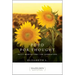 Food for Thought: Daily Meditations for Overeaters